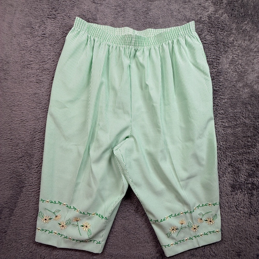 BonWorth Womens Capri Pants Pull On Pinstripe Mint Green Floral Embroidery XL P